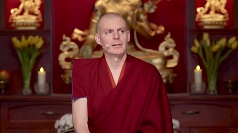 Transforma la adversidad: Nuevo Curso 'La Rueda de las Armas Afiladas' | Lama Rinchen
